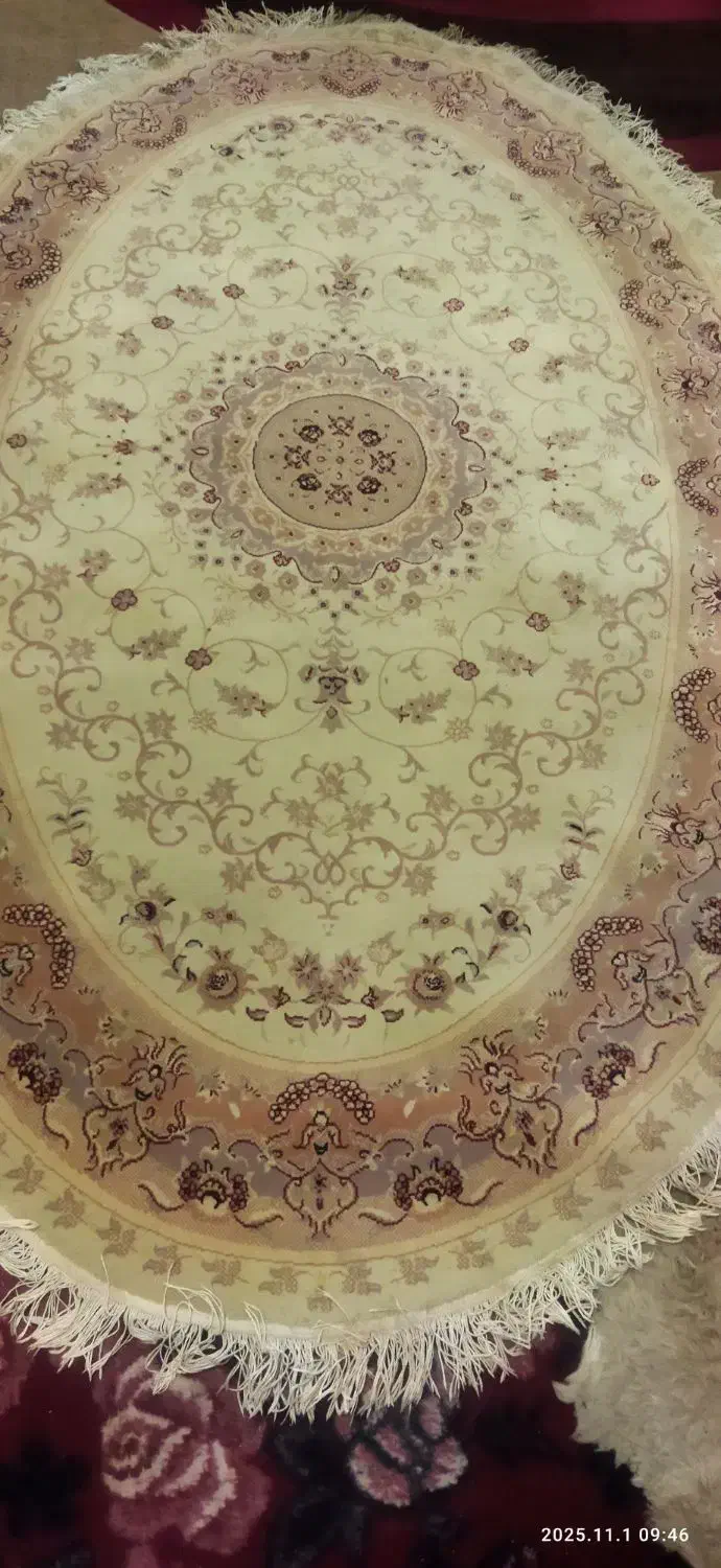 یک عدد فرش بیضی|فرش|قرچک, زیبا شهر|دیوار