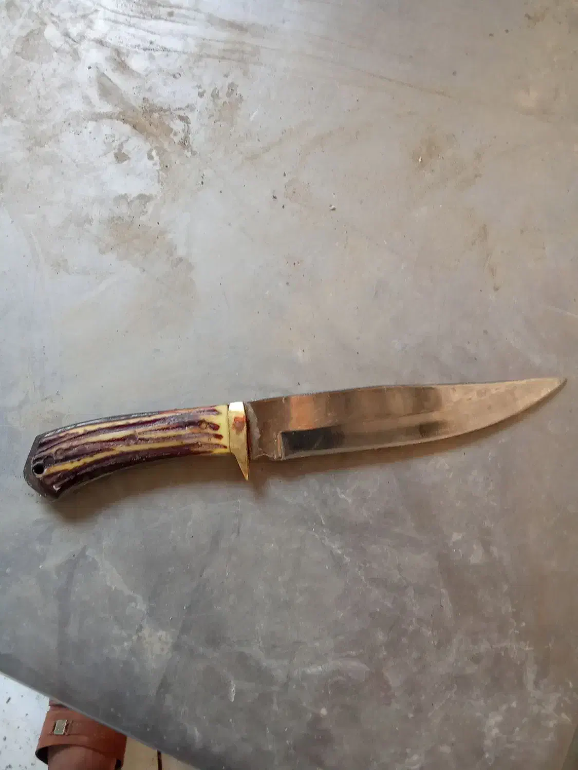 چاقو کمری دسته شاخه فروشی|کوهنوردی و کمپینگ|خان ببین, |دیوار