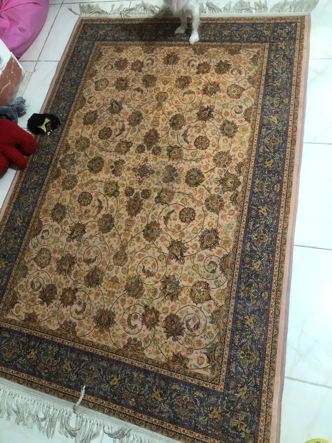 فرش|فرش|شیراز, زرهی|دیوار