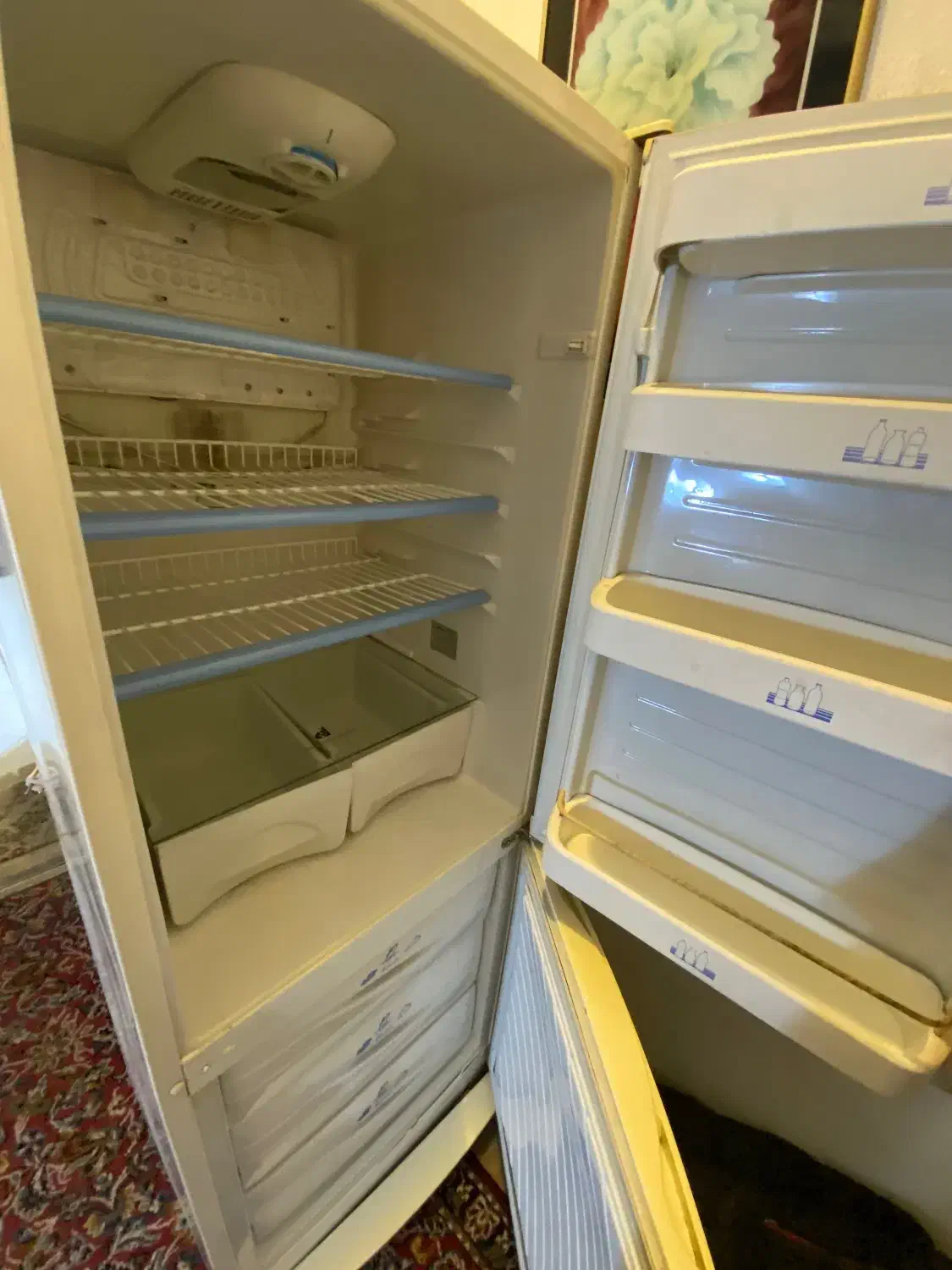 پخچال فریزر|یخچال و فریزر|رشت, جهاد|دیوار