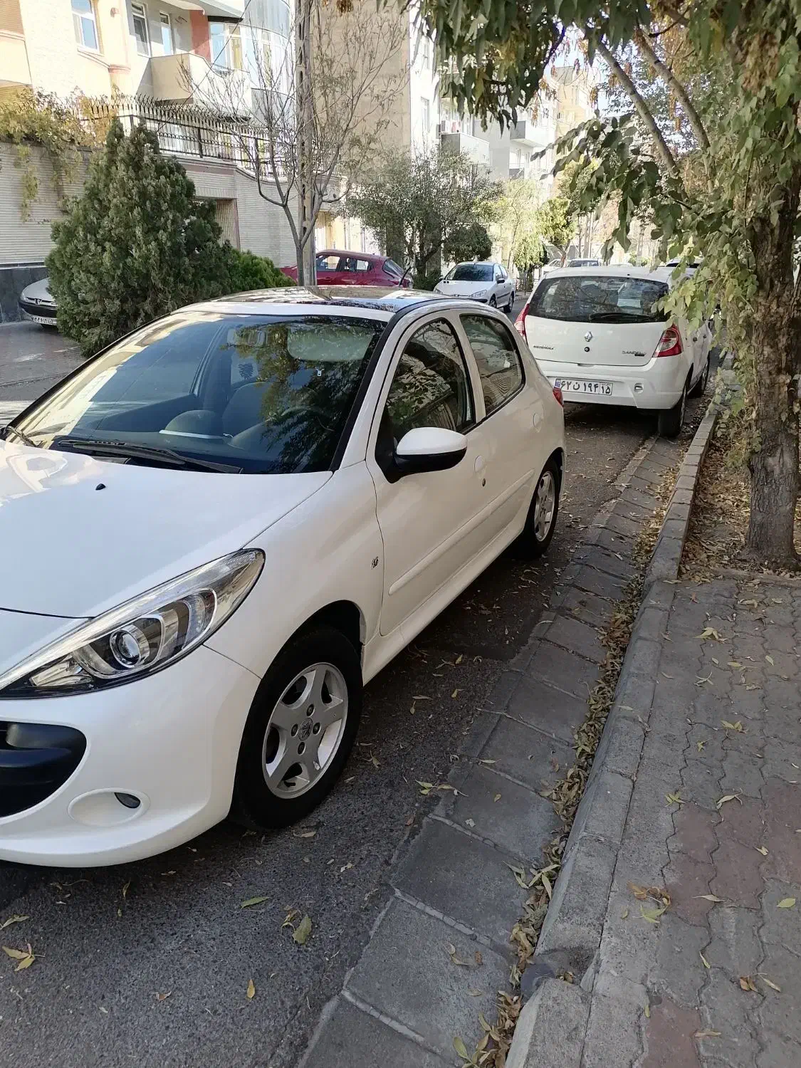 207 پانورما|خودرو سواری و وانت|تبریز, |دیوار