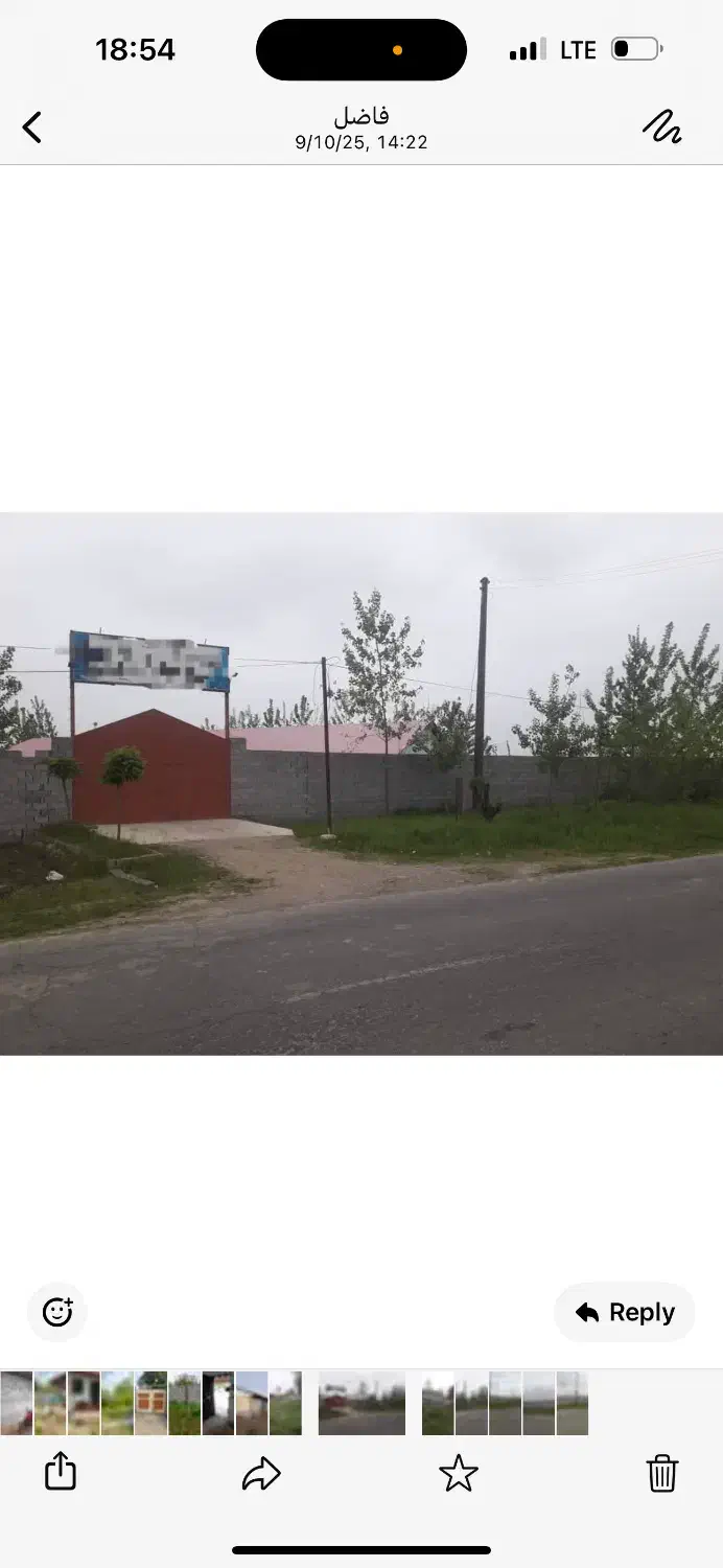 گاوداری با مجوز|فروش دفتر صنعتی، کشاورزی، تجاری|تولم شهر, |دیوار