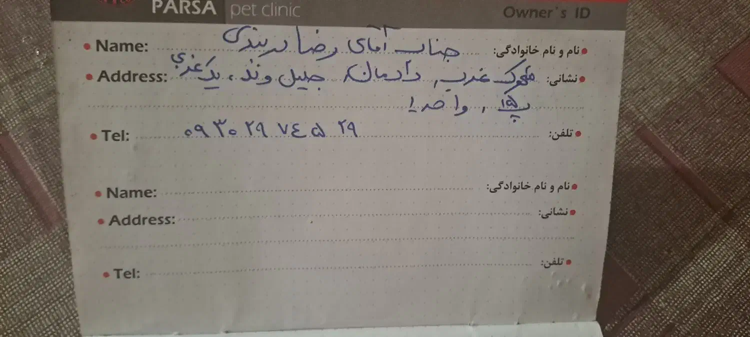 واگذاری سگ|سگ|تهران, ایوانک|دیوار