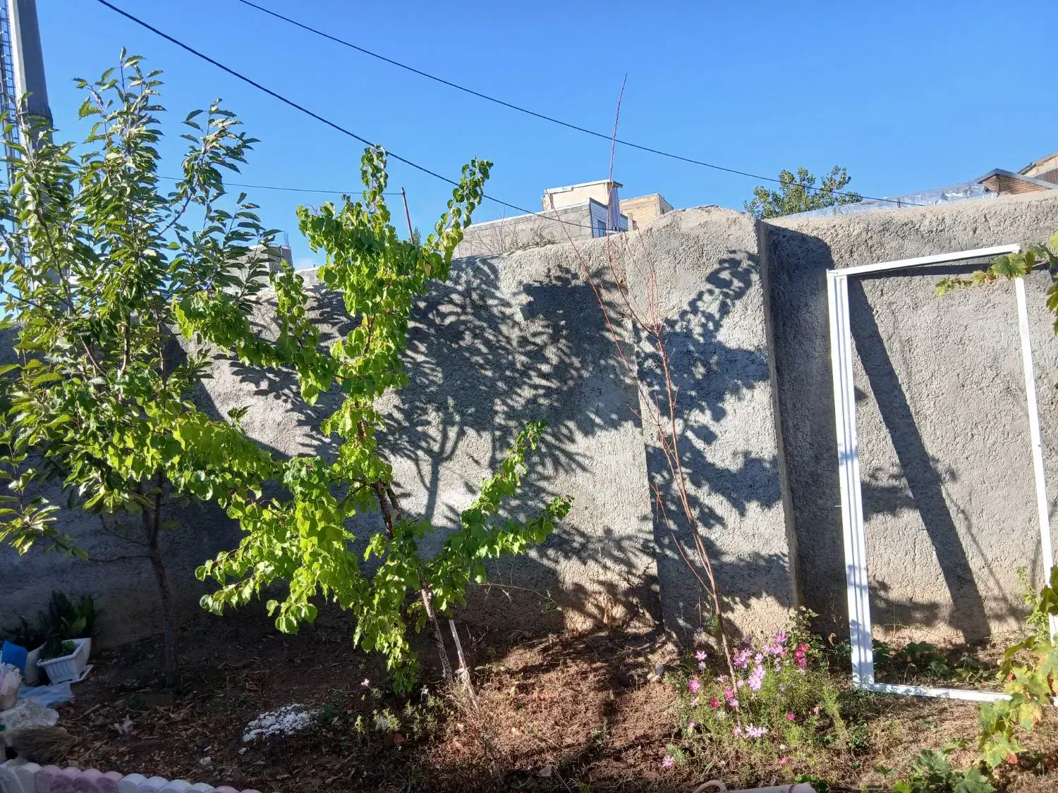 فروشواحدهمکف|فروش خانه و ویلا|خلخال, |دیوار