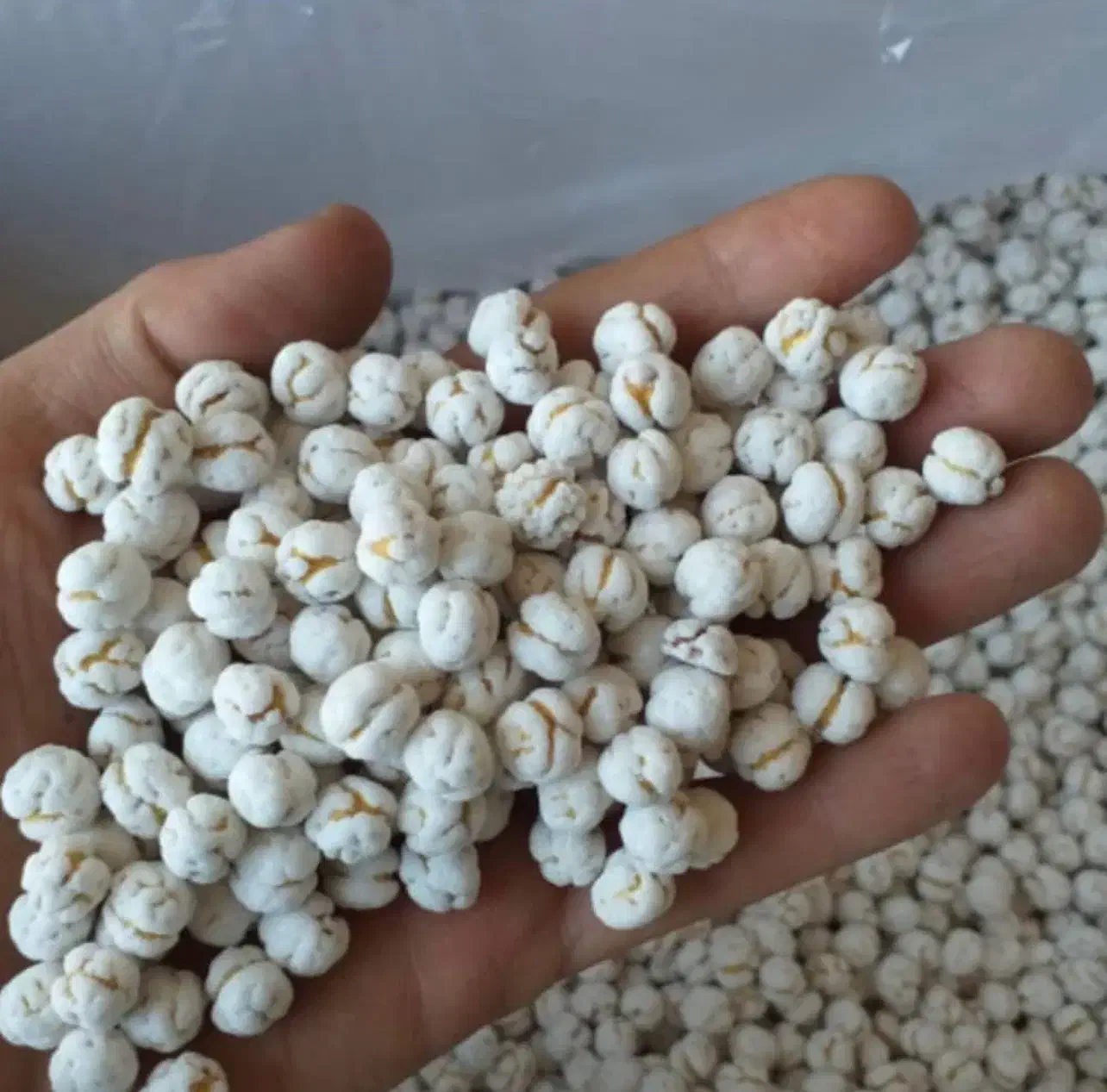 نخودچی گل|خوردنی و آشامیدنی|ممقان, |دیوار