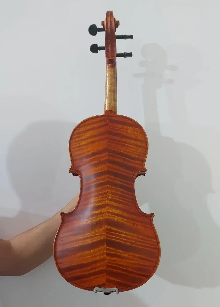 ویولن دست ساز|ویولن|شیراز, نارنجستان|دیوار
