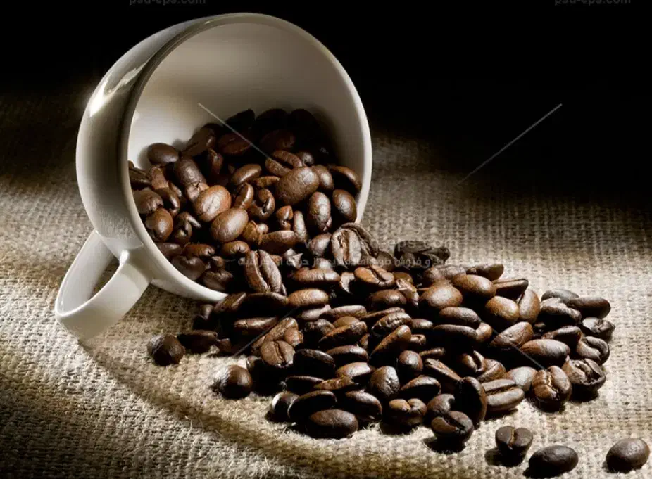 اجاره مغازه کافه|اجارهٔ مغازه و غرفه|مرودشت, مسجد رسول‎|دیوار