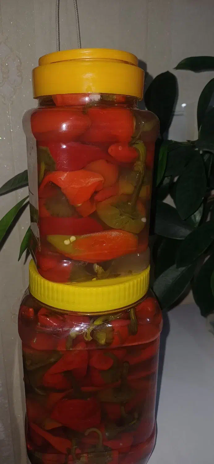 فلفل و|خوردنی و آشامیدنی|ایلخچی, |دیوار