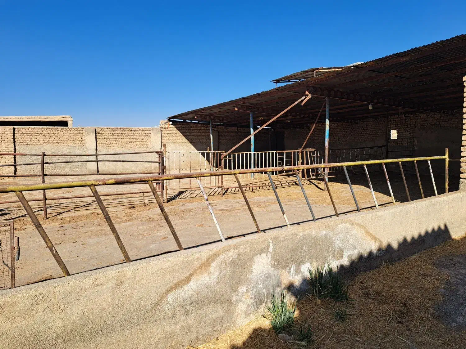 دامداری صنعتی مجزا|اجارهٔ دفتر صنعتی، کشاورزی، تجاری|نیشابور, شهرکهنه|دیوار