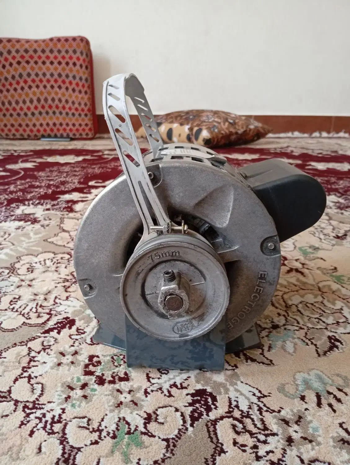 فروش موتور الکتروژن سراول اصلی|کولر آبی|شیراز, گویم|دیوار