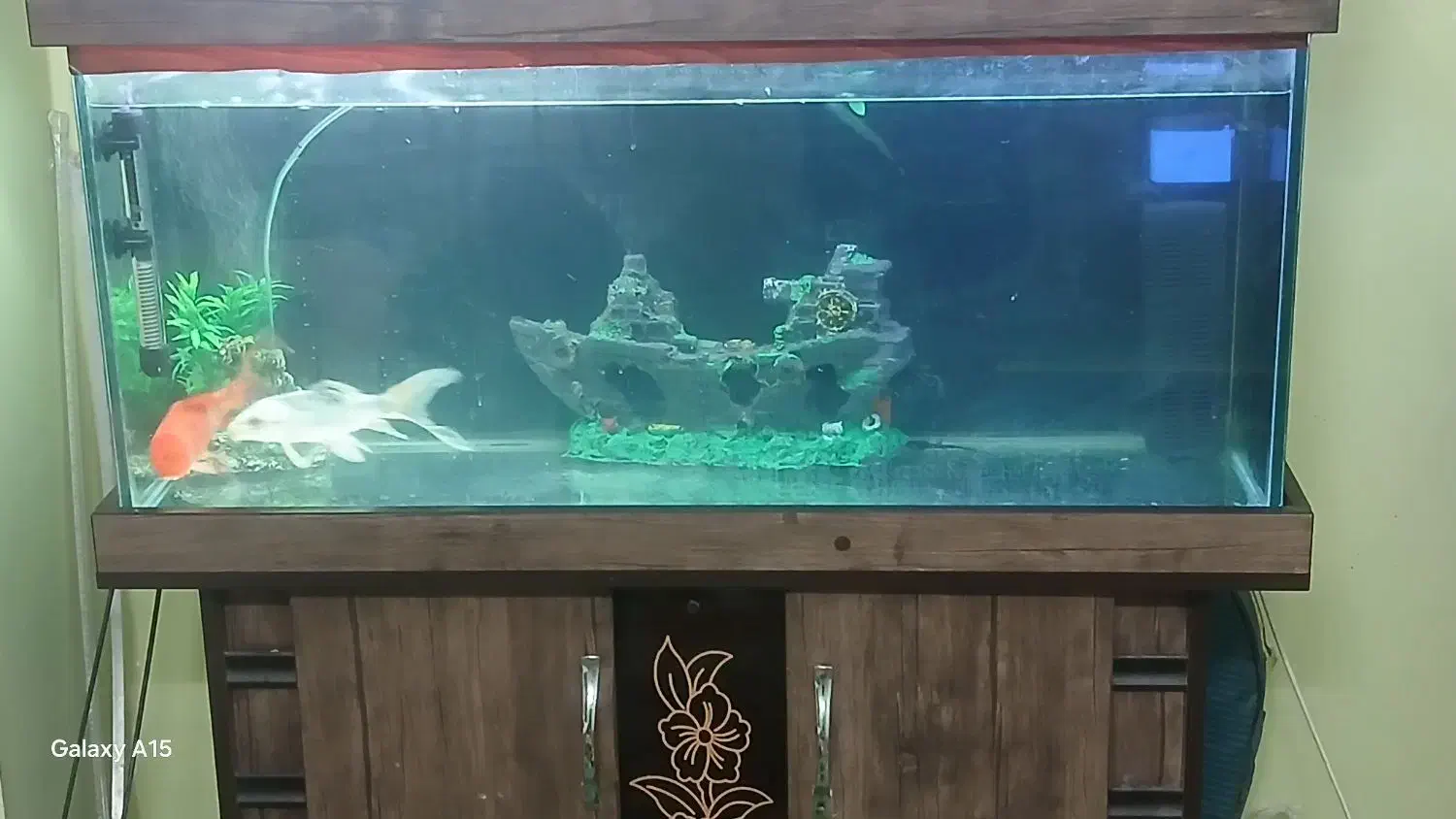 اکواریوم سالم|ماهی|رباطکریم, مسکن مهر آبشناسان|دیوار