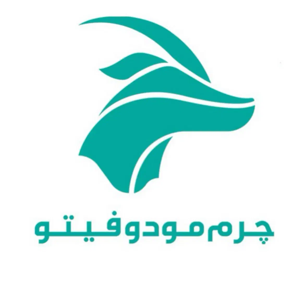 پیشکار و زیره چسبون|استخدام صنعتی، فنی، مهندسی|تهران, حکیمیه|دیوار