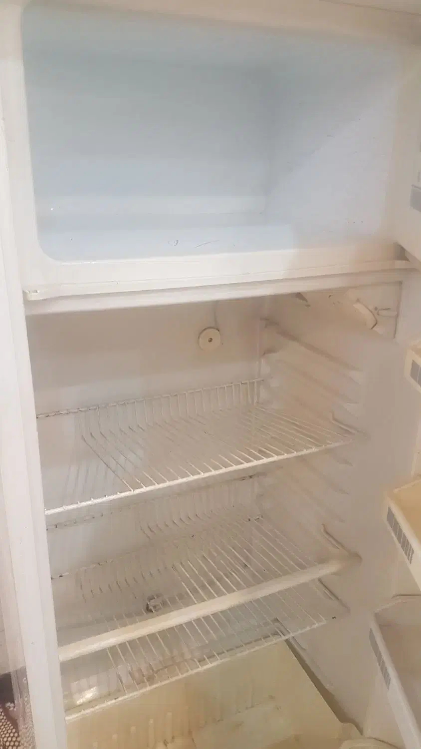 یخچال فیلور سالم|یخچال و فریزر|مشهد, سجادیه|دیوار