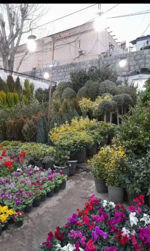 خدمات باغبانی پیروزی نارمک تهرانپارس رسالت مجیدیه|خدمات باغبانی و درختکاری|تهران, نیروی هوایی (پیروزی)|دیوار