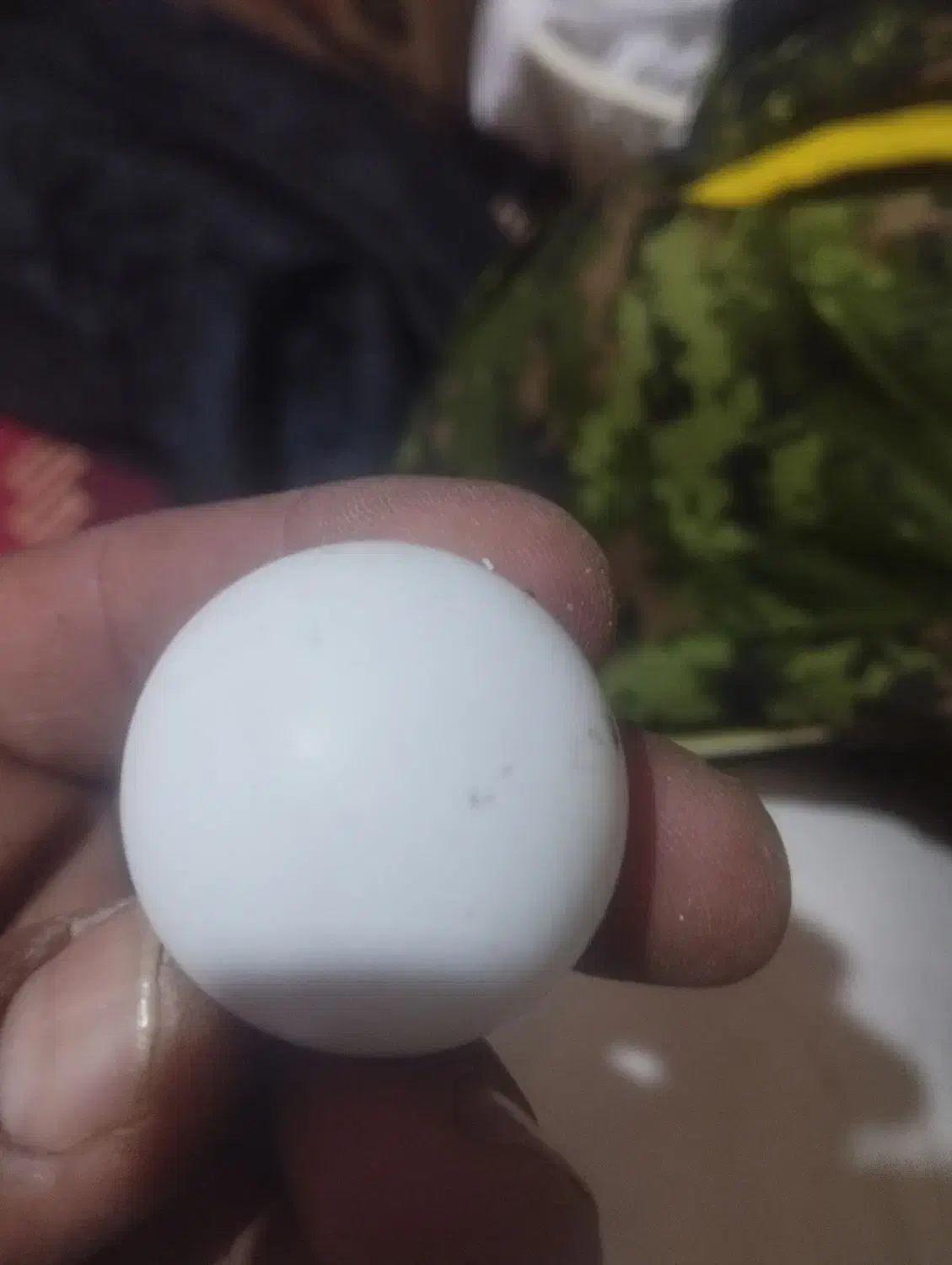 سنگ آسیاب|کلکسیون اشیاء عتیقه|مرودشت, فاز اول شهرک فرهنگیان|دیوار