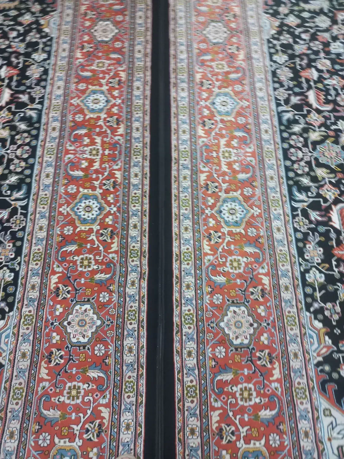 قالی ۱۲ متری در حد|فرش|سیرجان, |دیوار