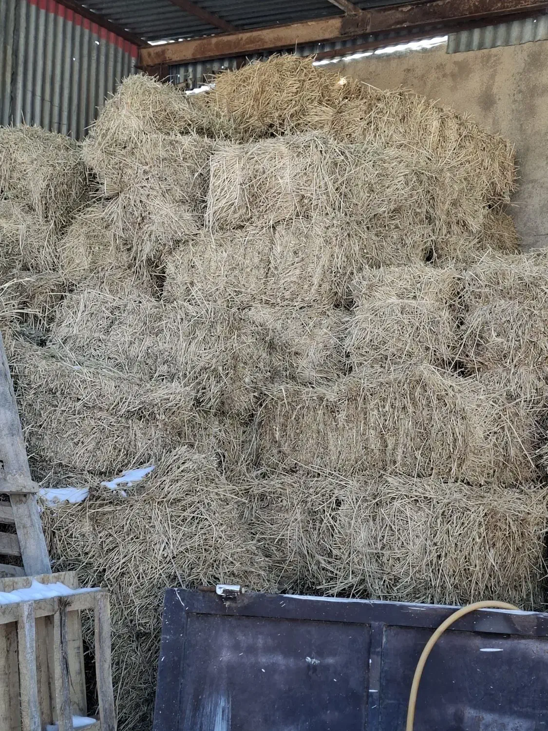 یونجه|لوازم جانبی حیوانات|قیدار, |دیوار