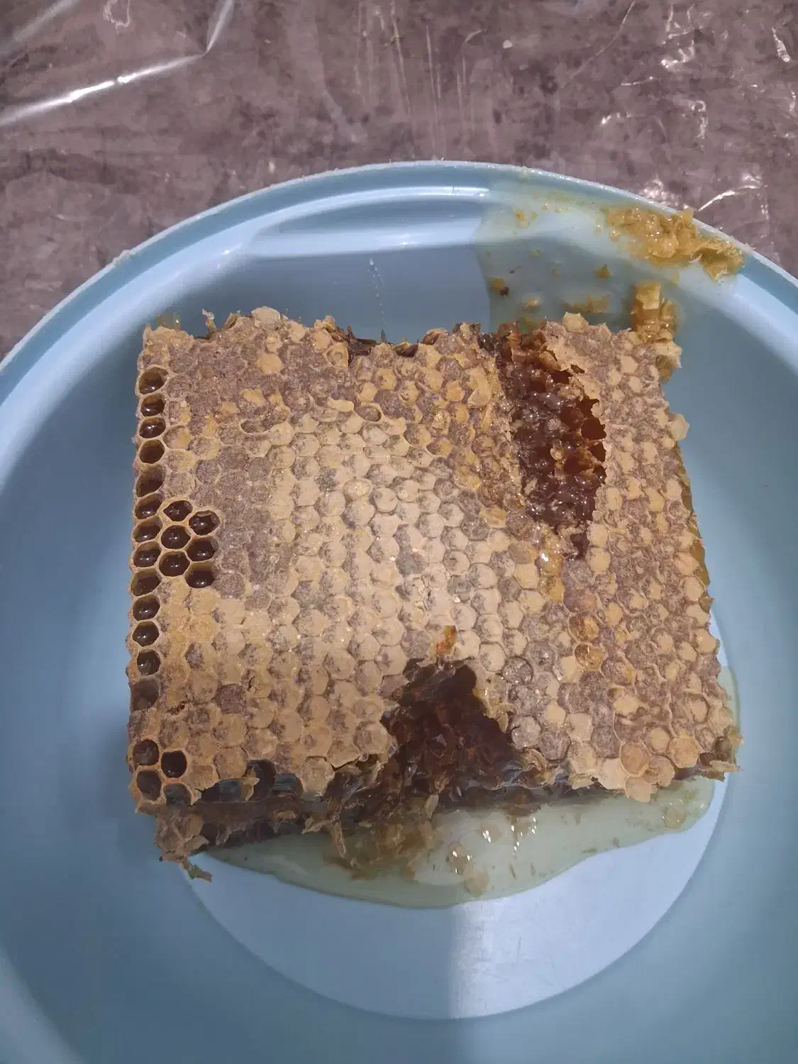 عسل صد درصد طبیعی|خوردنی و آشامیدنی|اسلام‌شهر, شهرک سعیدیه|دیوار