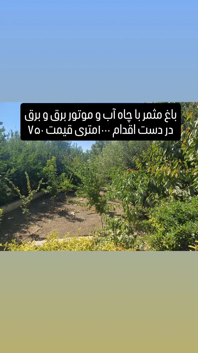 باغ مثمر با آب و برق اطراف فنس براصلی قیمت۱۳۰۰|فروش خانه و ویلا|کرمانشاه, |دیوار