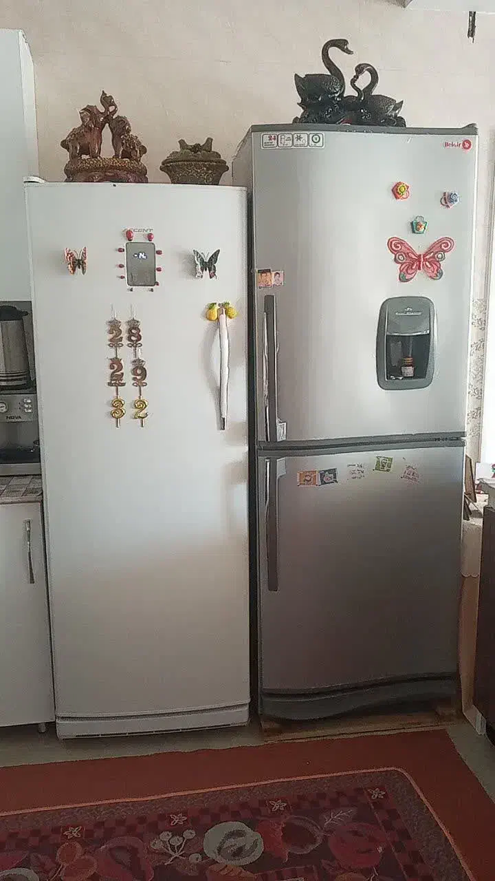 دوتا یخچال فروشی|یخچال و فریزر|لنجان, |دیوار