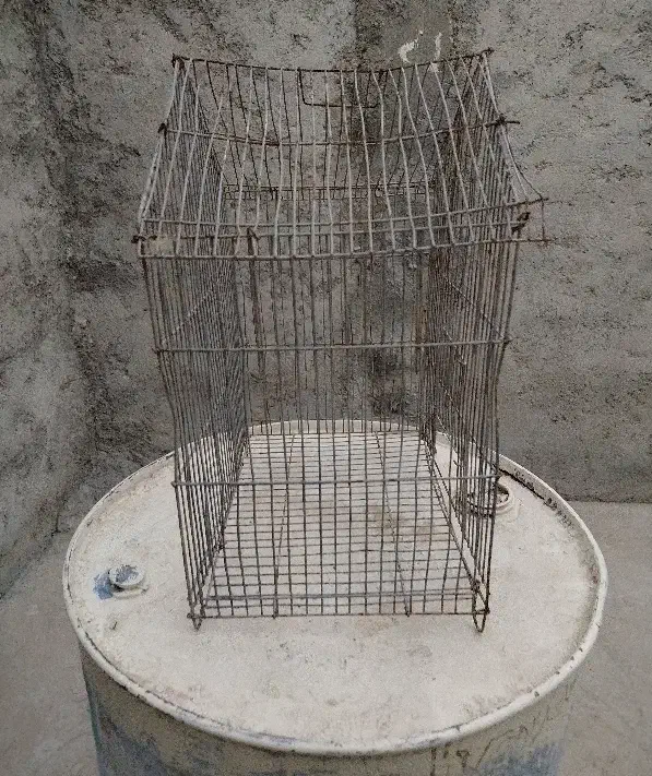 قفس پرنده|لوازم جانبی حیوانات|برازجان, |دیوار