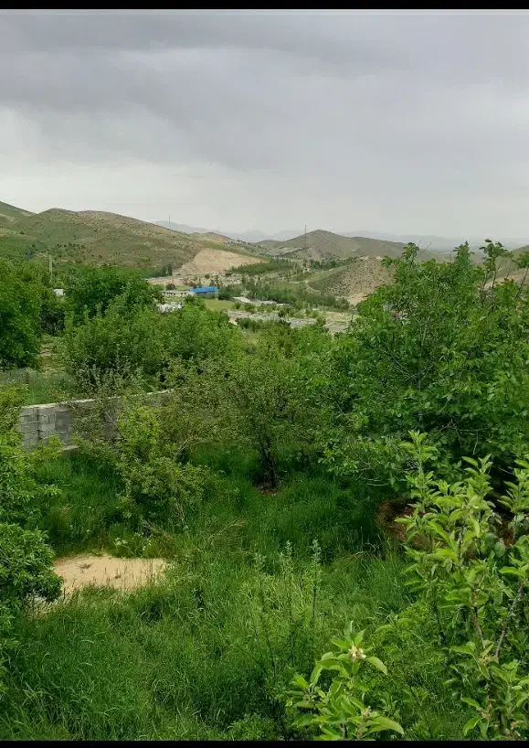 باغ۵۵۰متری سپیدان|فروش زمین و ملک کلنگی|سپیدان, |دیوار