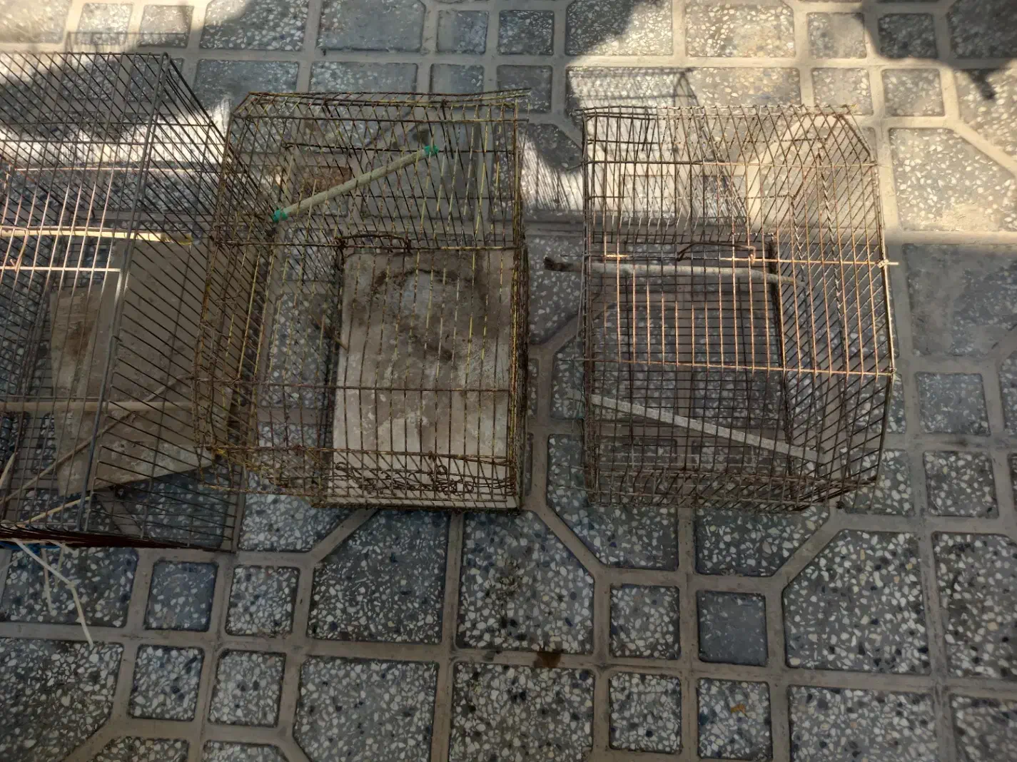 قفس|لوازم جانبی حیوانات|بوشهر, |دیوار