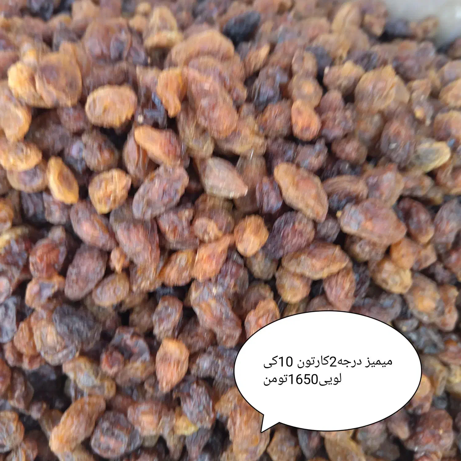 کشمش میمیز امسالی قیمت کشاورز|عمده‌فروشی|سبزوار, مدرس|دیوار