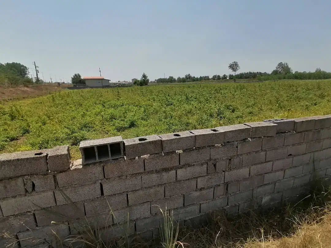 فروش زمین در لنگرود|فروش زمین و ملک کلنگی|رشت, چله خانه|دیوار