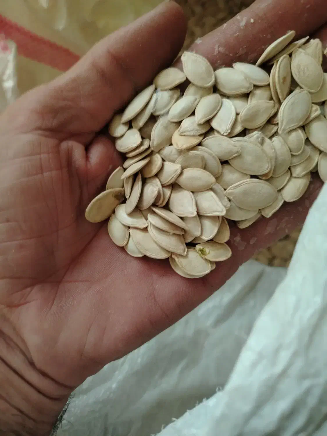 کدووگردو|خوردنی و آشامیدنی|دهگلان, |دیوار