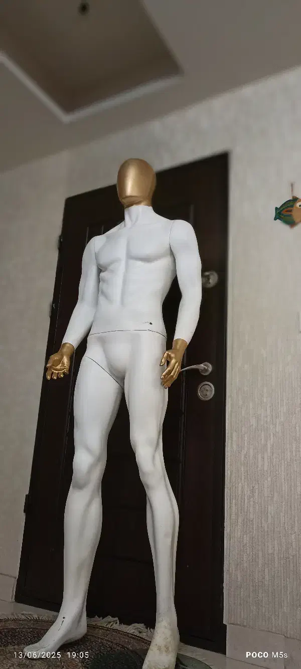 مانکن ودوعددپروب لباس|حراج|تبریز, |دیوار