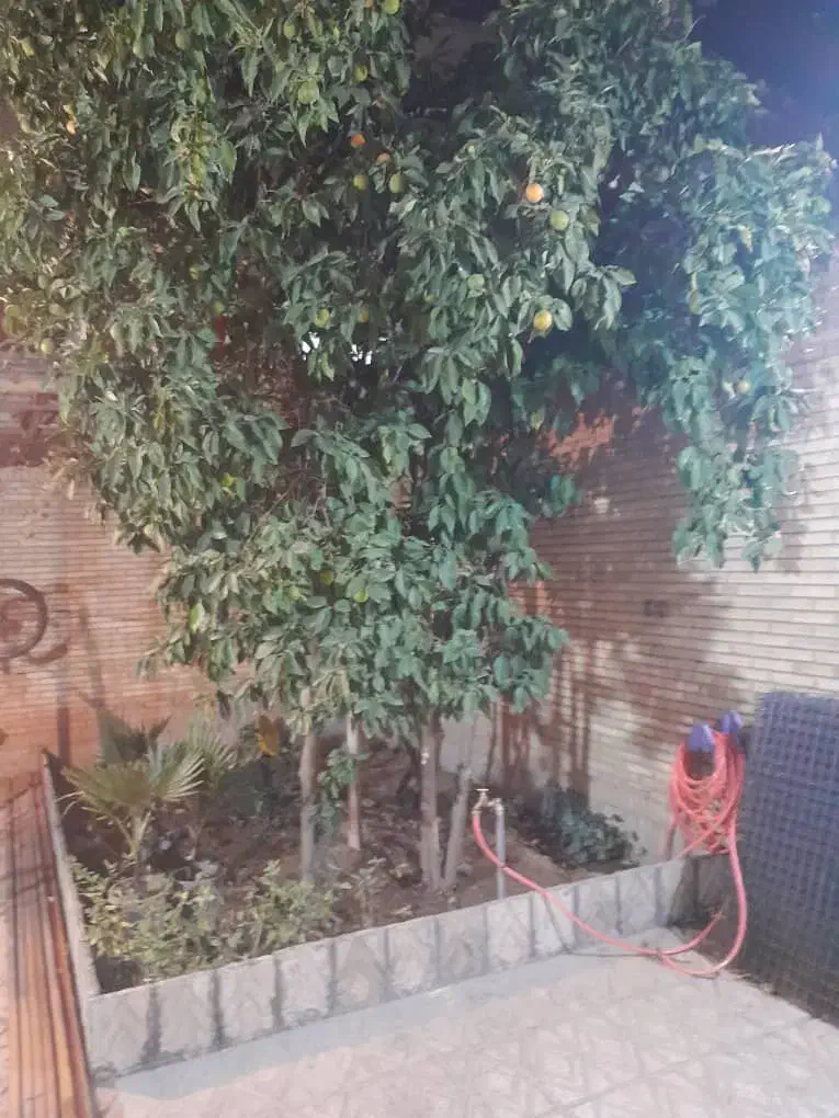 رهن ویلایی A6 دو طبقه|اجارهٔ خانه و ویلا|فولادشهر, A6|دیوار