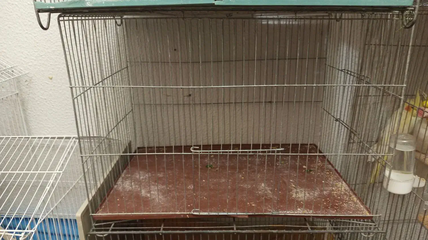 قفس|لوازم جانبی حیوانات|شاهین‌شهر, مسکن مهر|دیوار