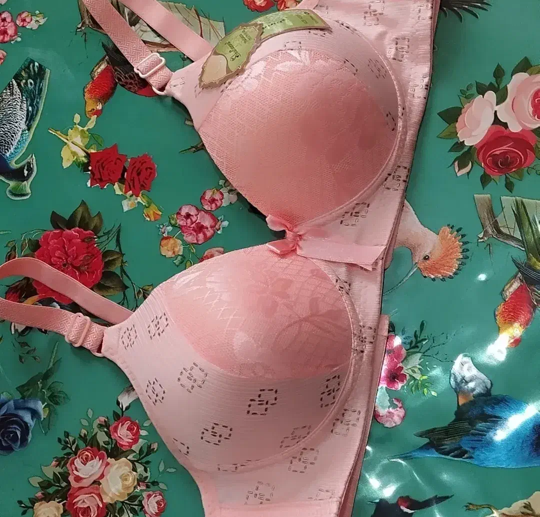 انواع سوتین|لباس|بندر کنگان, |دیوار