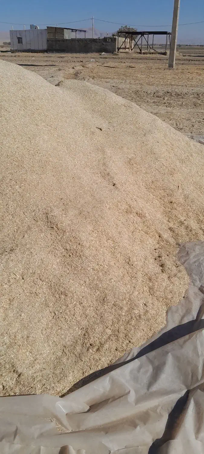 خوراک دام،کاه گندم یونجه|حیوانات مزرعه|شیروان (لرستان), |دیوار