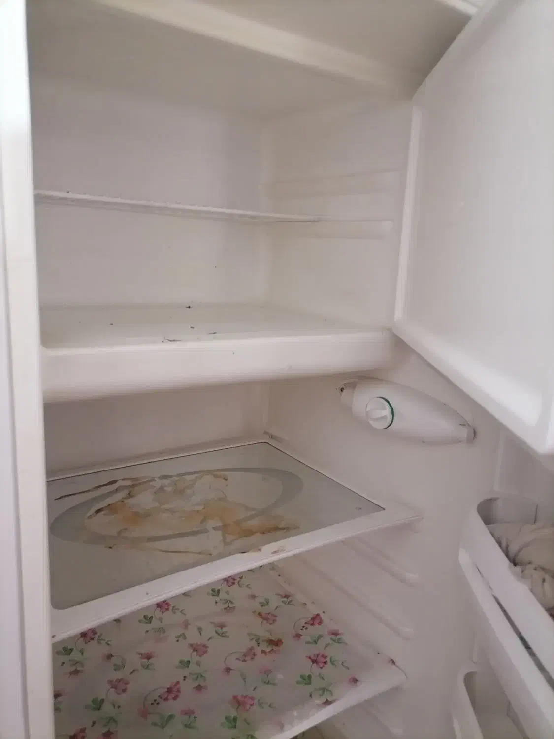 یخچال و فریزر پارس|یخچال و فریزر|گناباد, |دیوار