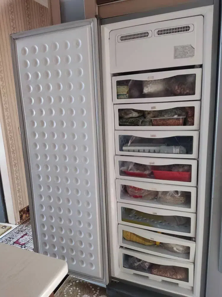 یخچان فریزر دو قلو فرسان LG|یخچال و فریزر|هشتگرد, شهرک پارسیان|دیوار