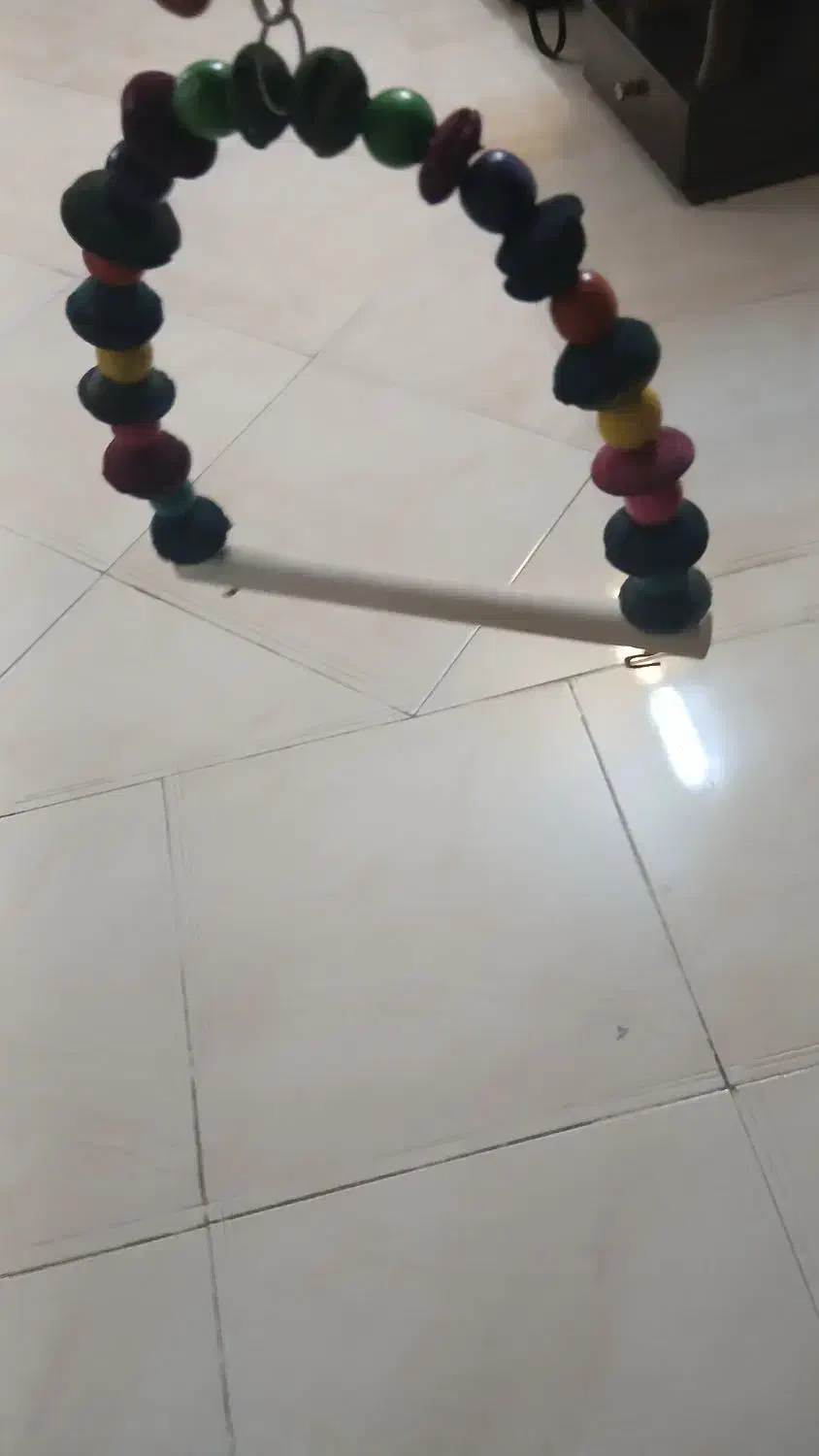 لوازم پرنده و طوطی|لوازم جانبی حیوانات|اصفهان, الهیه|دیوار