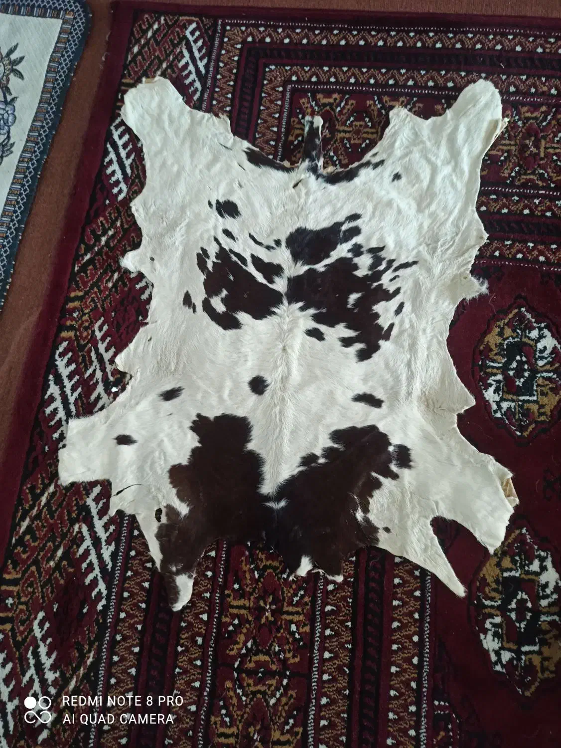 پوست گوسفند و گاو|صنایع دستی و سایر لوازم تزئینی|آق قلا, |دیوار