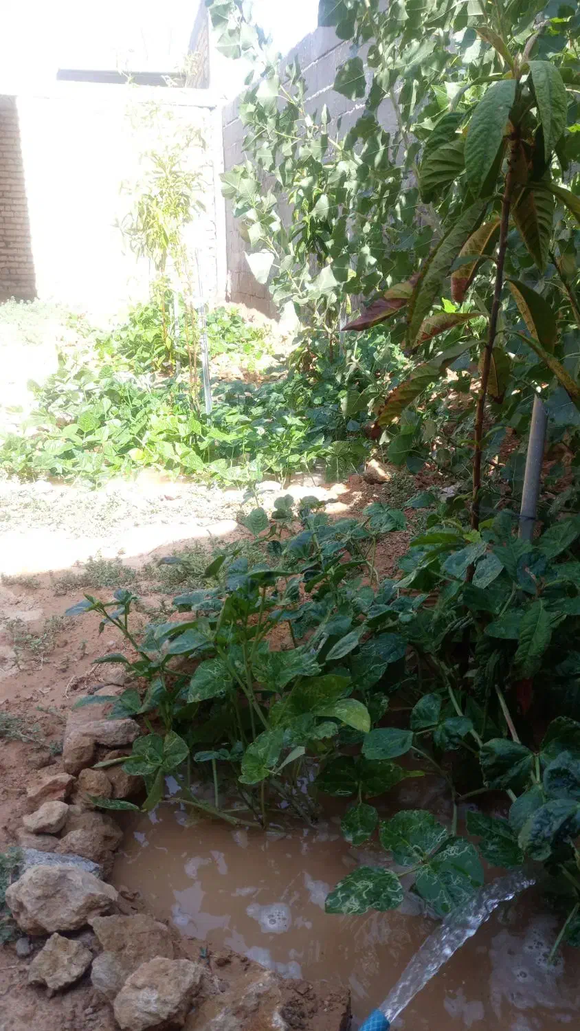 فروش اسکلت نوساز ویلایی یک طبقه دوخواب|فروش خانه و ویلا|شیراز, شهرک قمشه|دیوار