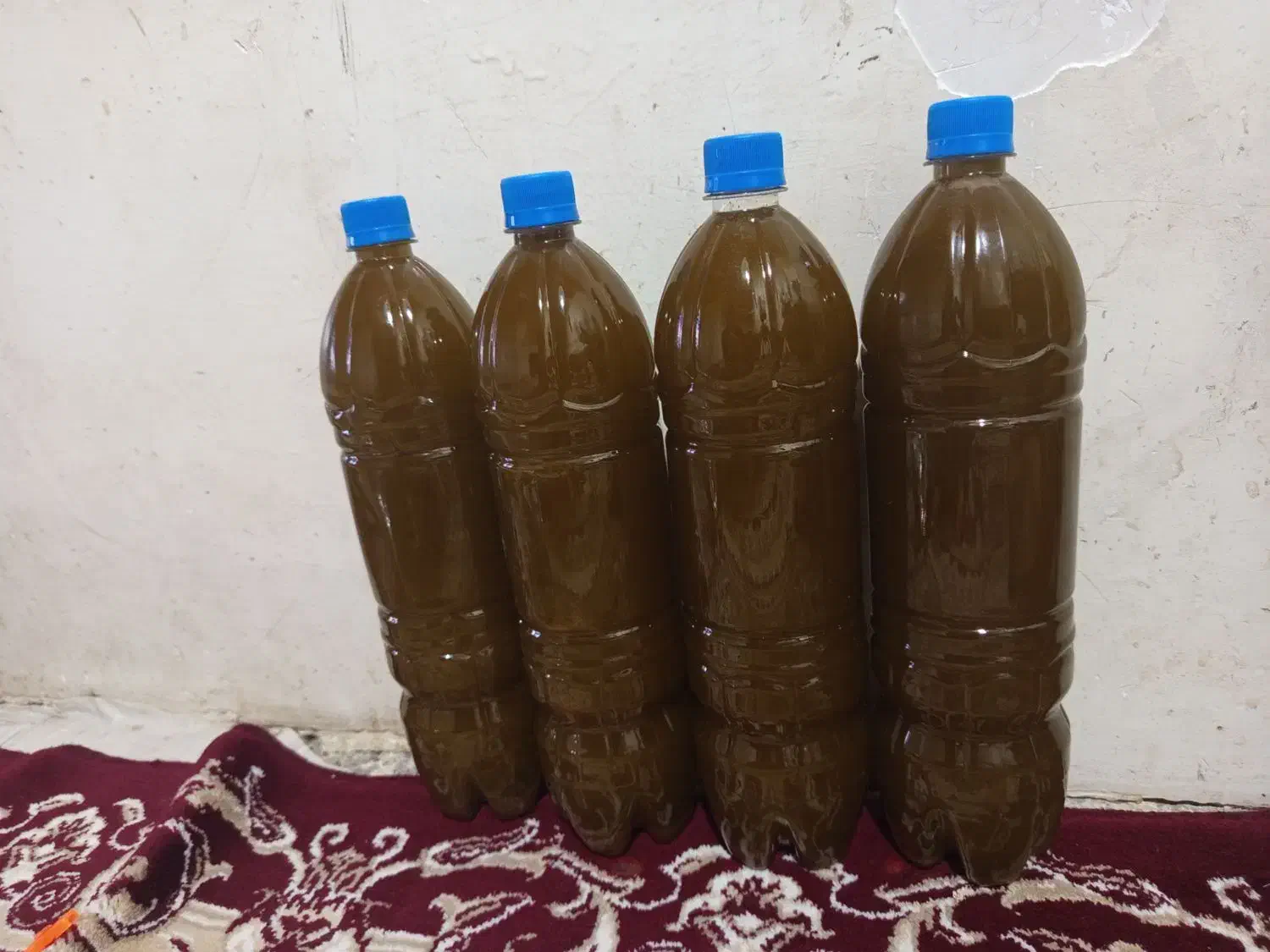 روغن زیتون|خوردنی و آشامیدنی|القجر, |دیوار