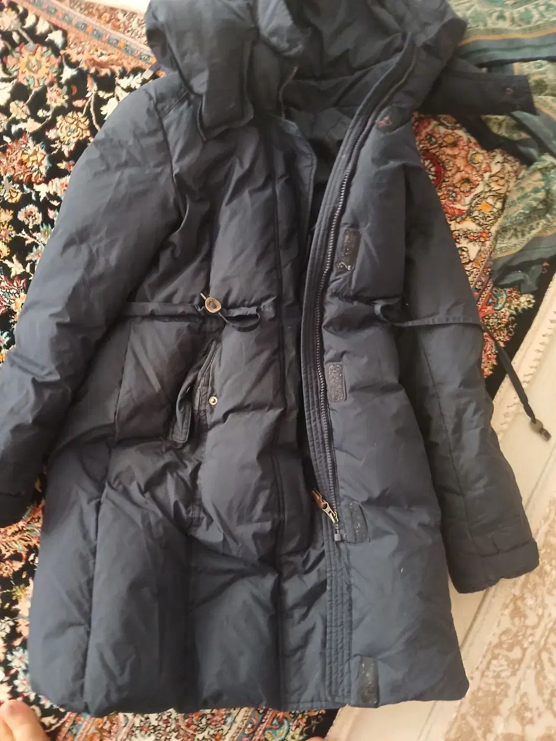 پالتو|لباس|سنندج, |دیوار