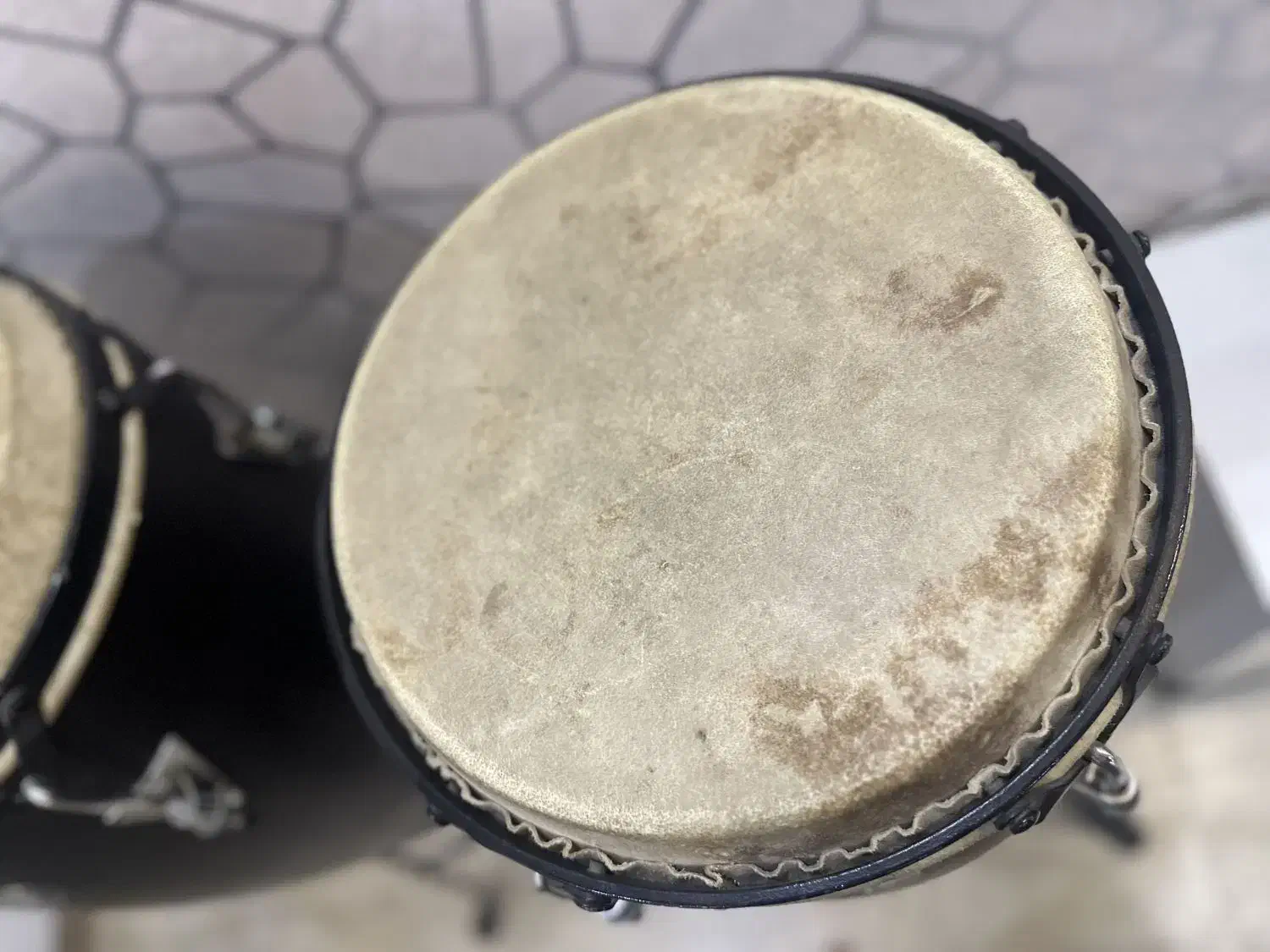 کونگا دو لنگه|درام و پرکاشن|بوکان, |دیوار