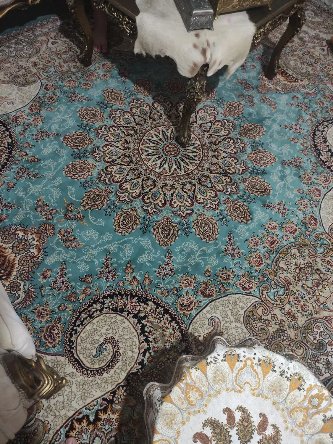 فرش ۹متری|فرش|بابلسر, |دیوار