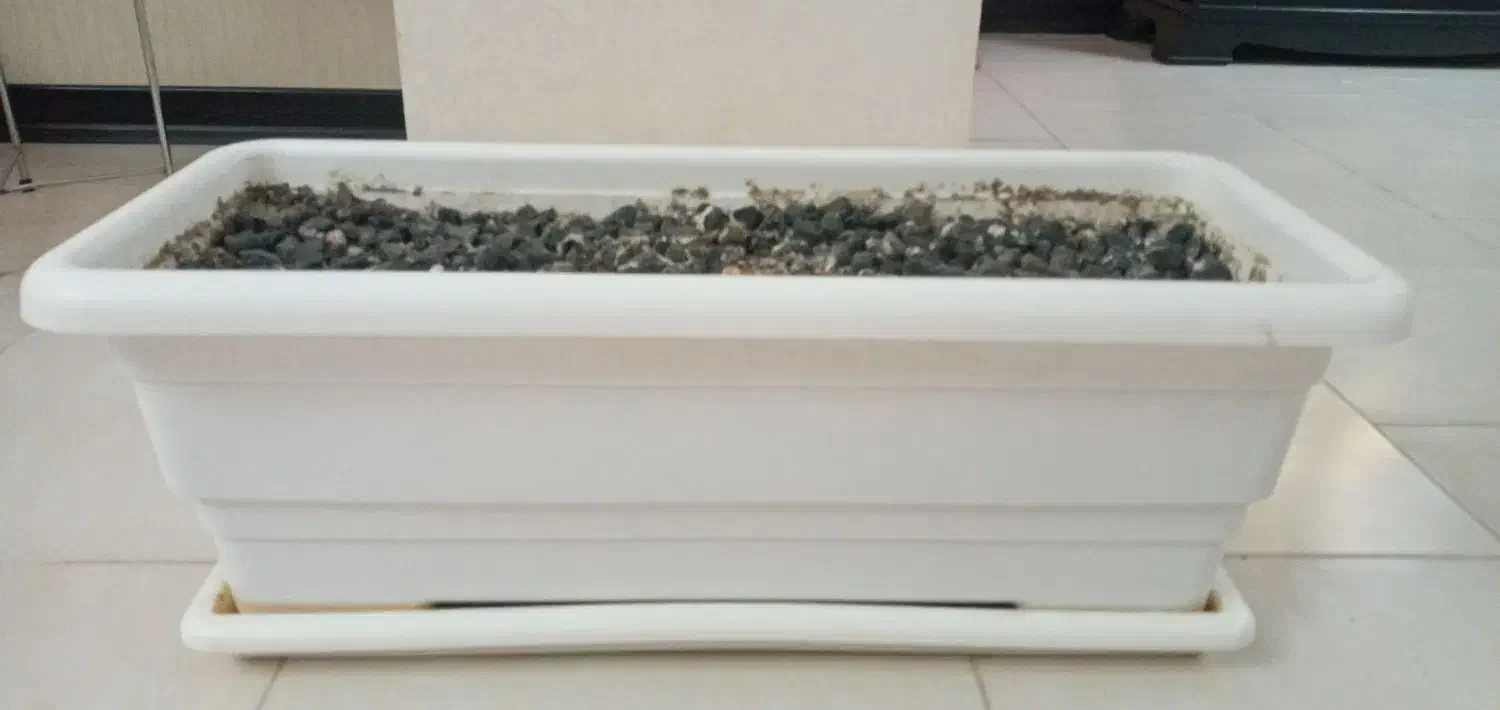 گلدان بزرگ|گل و گیاه طبیعی|محمدشهر, ولدآباد|دیوار