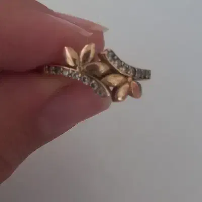 انگشتر طلاروس|بدلیجات|قائن, |دیوار