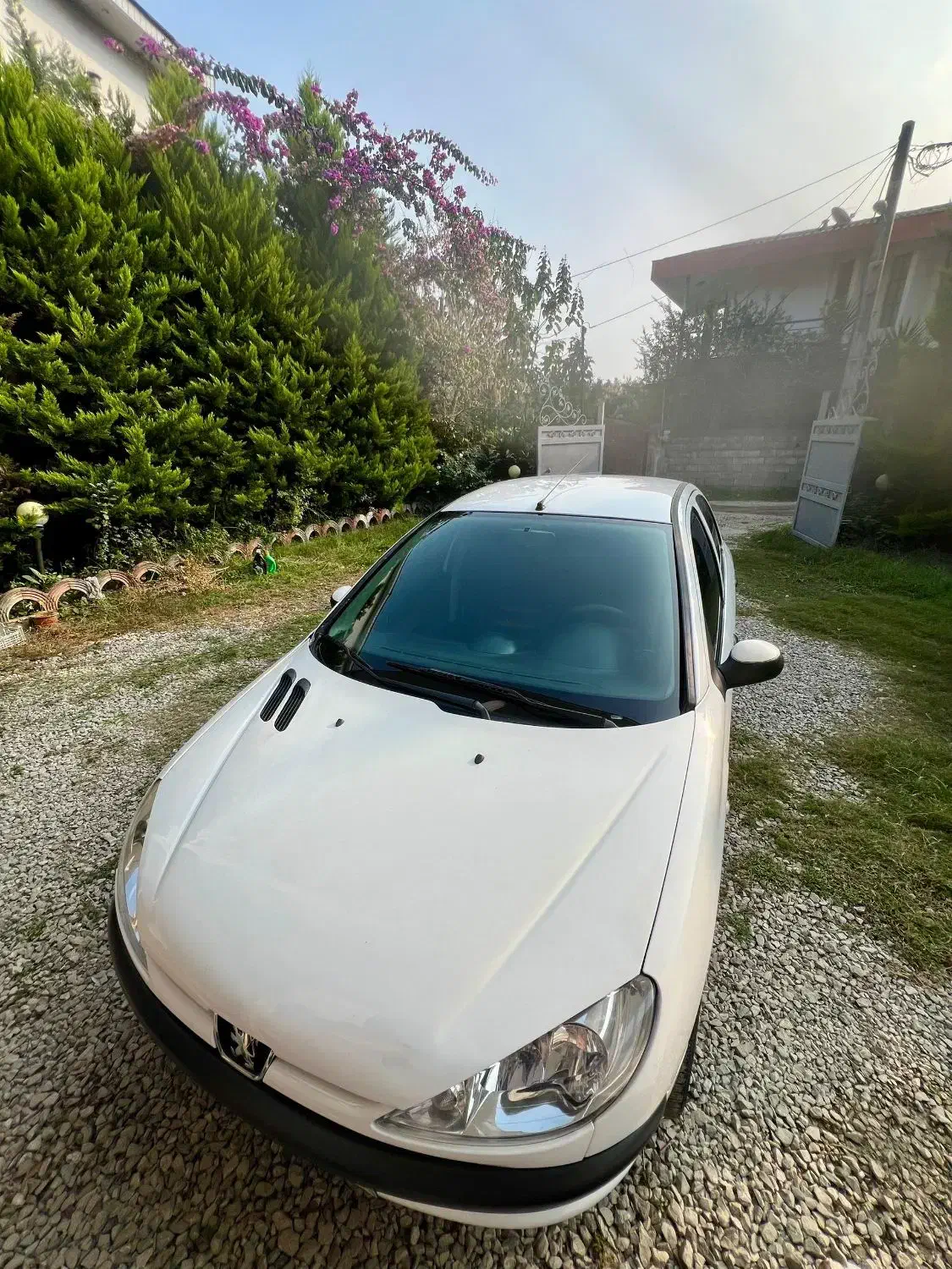 پژو ۲۰۶ تیپ ۳|خودرو سواری و وانت|نوشهر, |دیوار