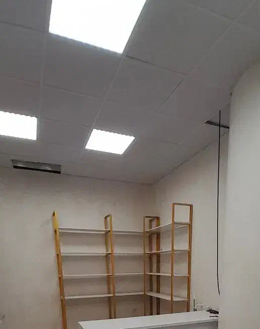 دکور|کتابخانه، شلف، قفسه‌های دیواری|آشخانه, |دیوار