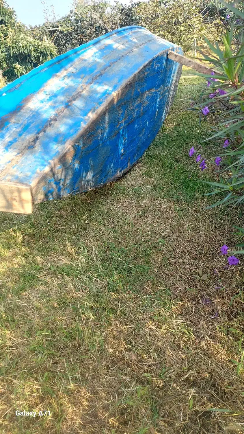 قایق چوبی|قایق و سایر وسایل نقلیه|بندر انزلی, بشمن|دیوار