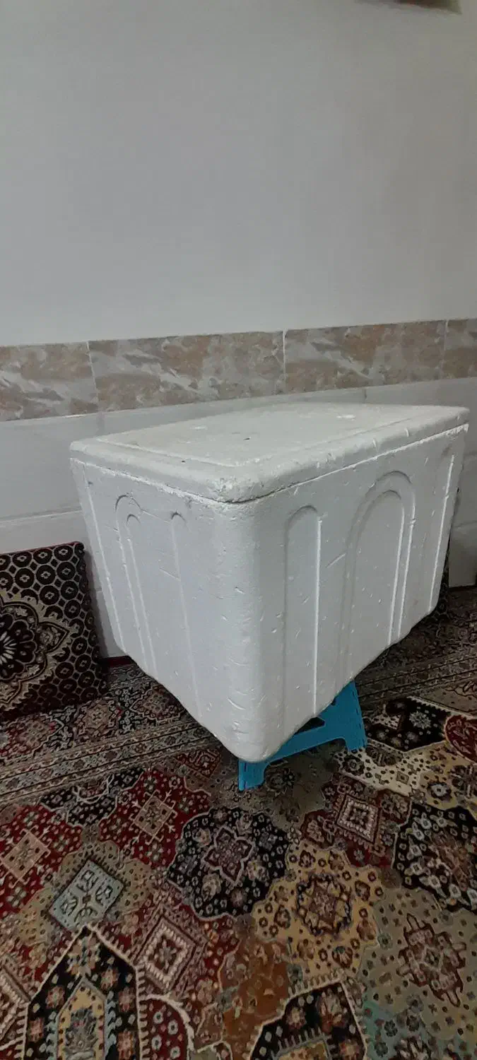 اکاسیف بزرگ|ظروف نگهدارنده، پلاستیکی، یک‌بارمصرف|علی‌آباد کتول, |دیوار